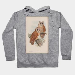 Owls Hoodie